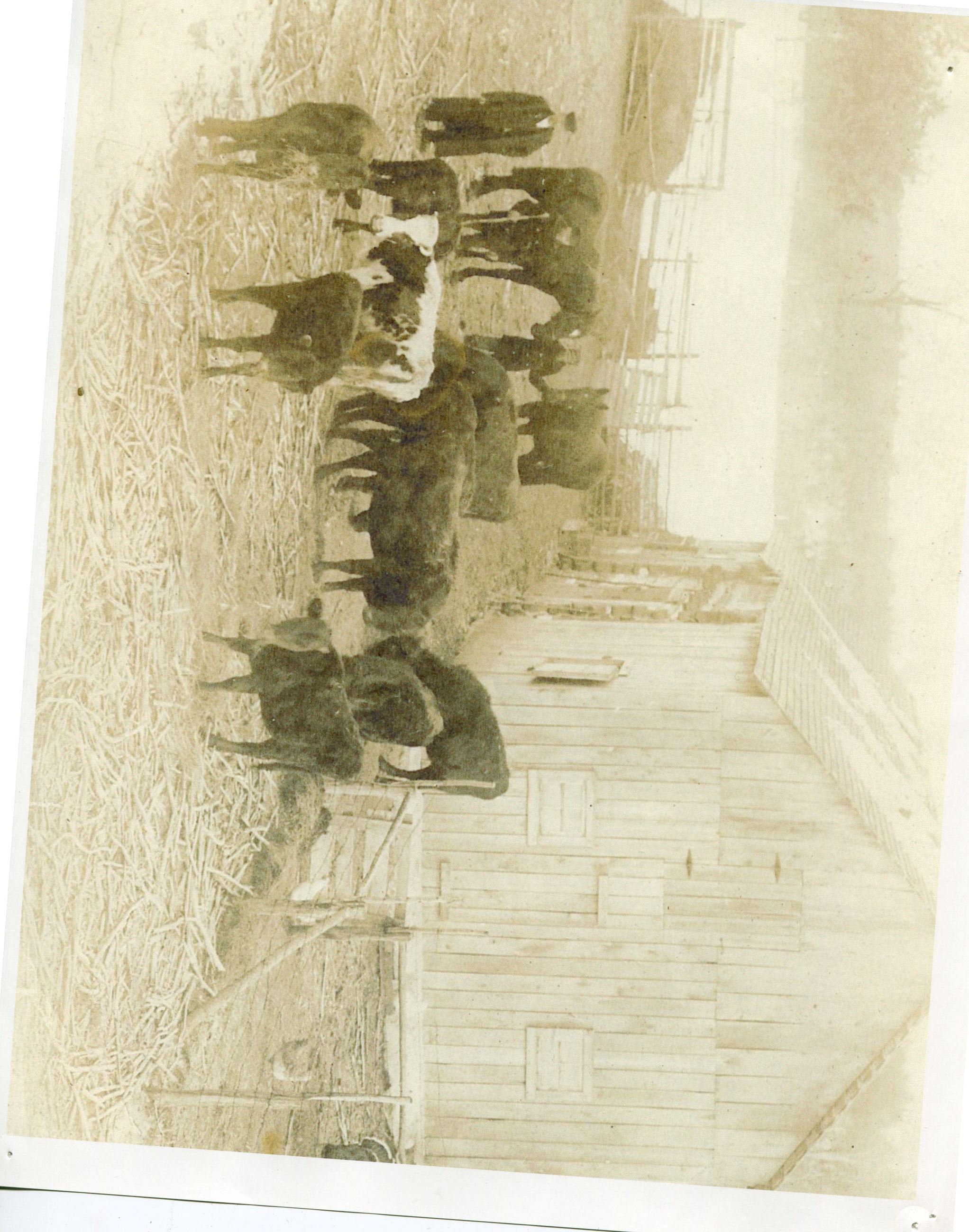 Ag - Barnyard FarmScene (1)